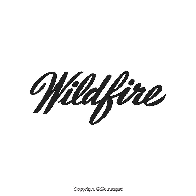 Wildfire Typography Design with Modern Calligraphy on White Background
