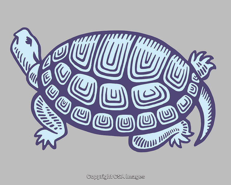 Stylized Line Art Illustration of a Turtle on a Gray Background
