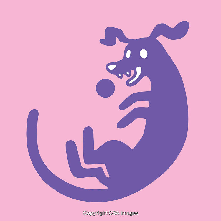 Playful Purple Dog Balancing a Ball on Vibrant Pink Background