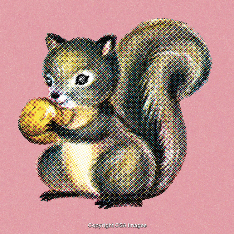 Illustration of Squirrel Holding Nut with Retro Halftone Art Style