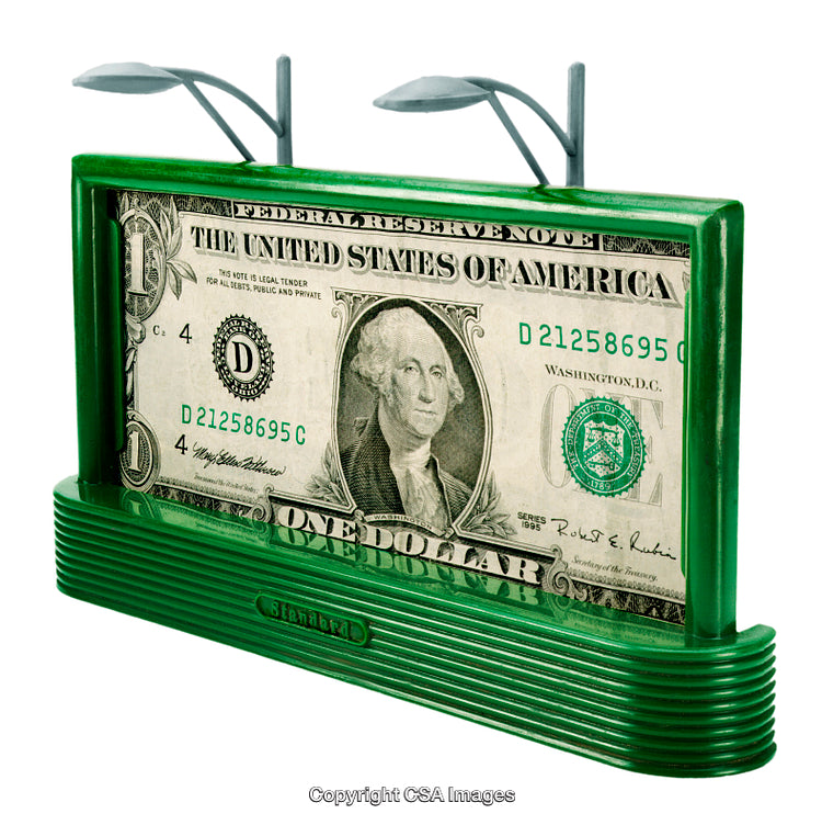 Decorative Dollar Bill Display in Green Plastic Replica Frame with Lamps