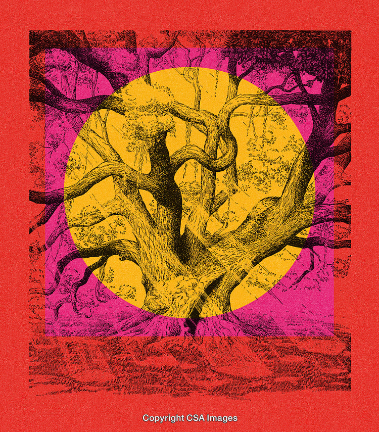 Abstract Illustration of Tree with Vibrant Colors and Geometric Shapes