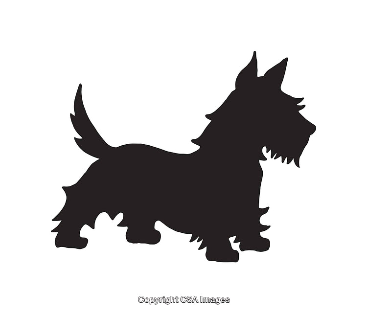 Silhouette of a Standing Scottish Terrier Dog in Black on White