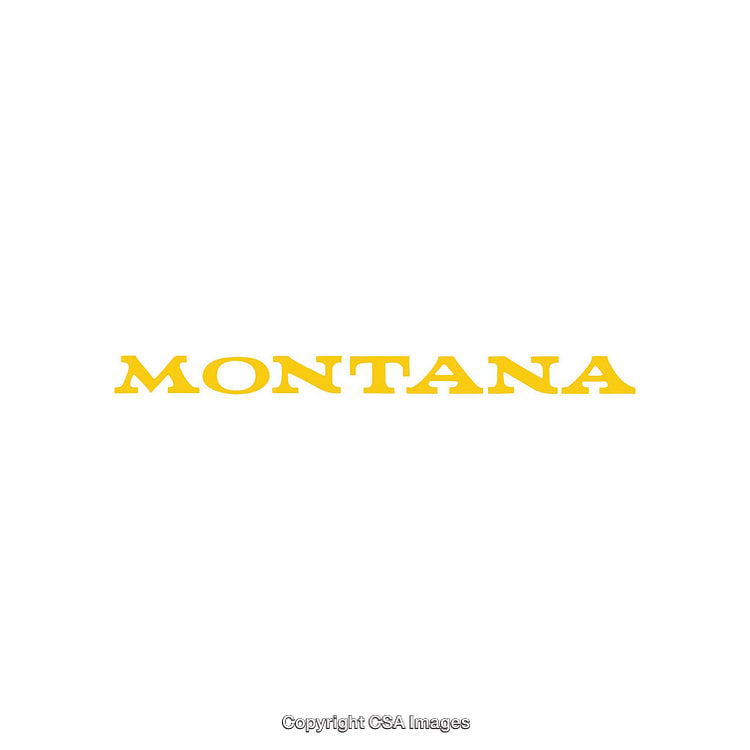 Text Design Featuring the Word Montana in Bold Yellow Font