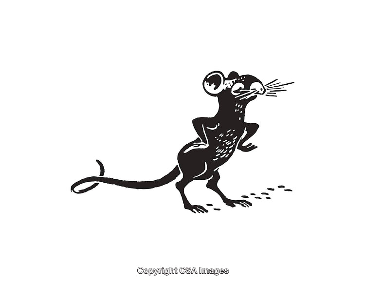 Black And White Line Art of a Standing Mouse Illustration