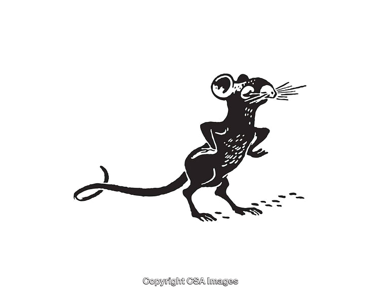 Black And White Line Art of a Standing Mouse Illustration