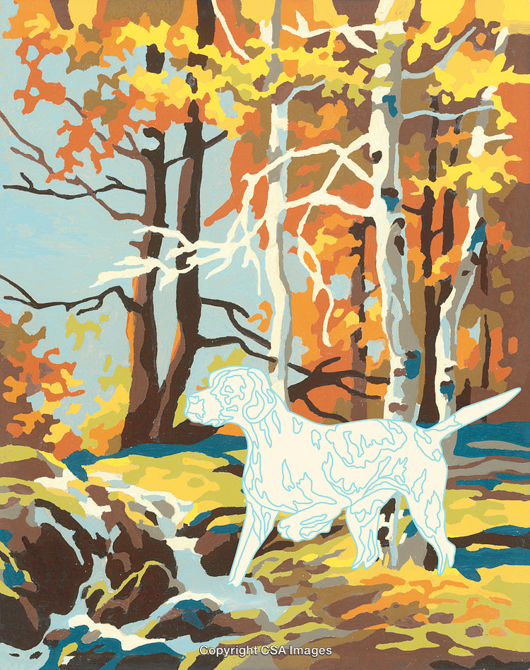 Colorful Nature Scene With Dog in Paint by Numbers Style Art