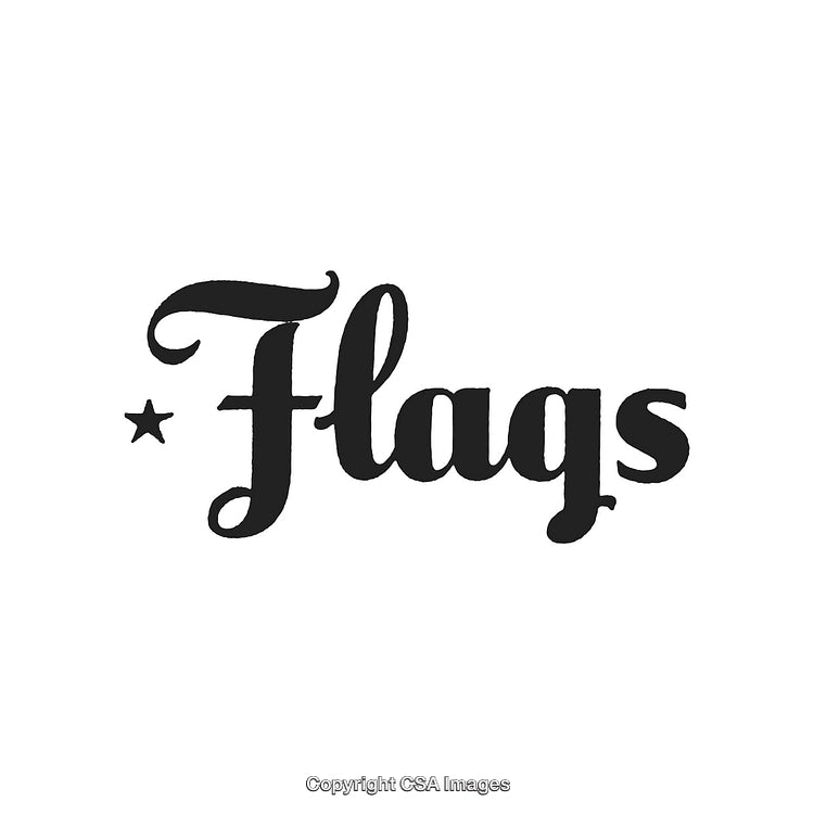Stylish Black Typography Artwork Featuring the Word 'Flags' with Decorative Styling