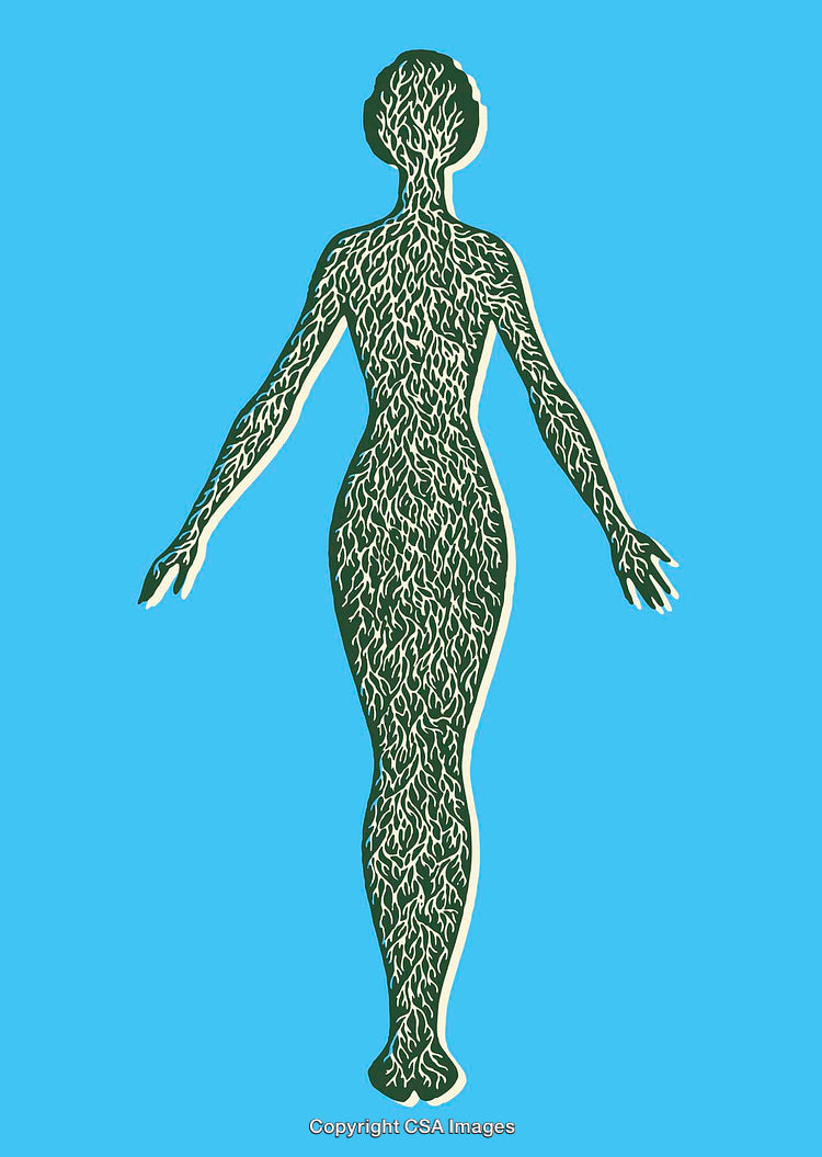 Human Figure with Tree-like Veins on Bright Blue Background