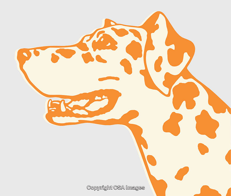 Colorful Line Art Illustration of a Dog in Profile View