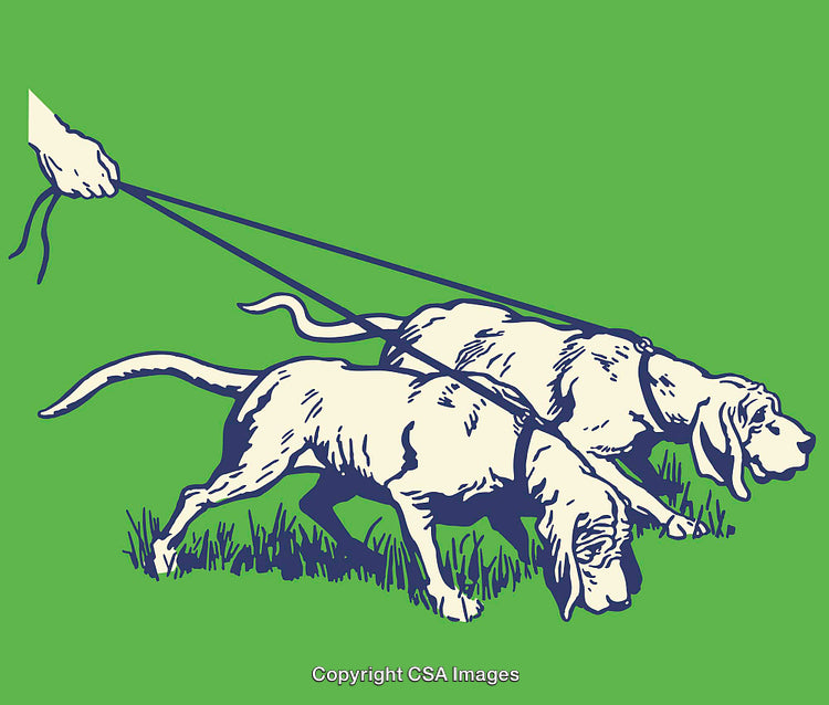 Colorful Line Art Illustration of Tracking Dogs on a Green Background