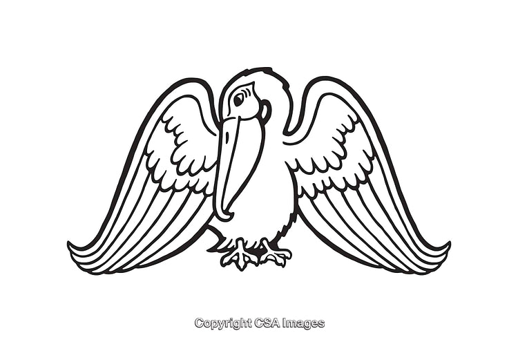 Black and White Line Art Illustration of a Bird with Spread Wings
