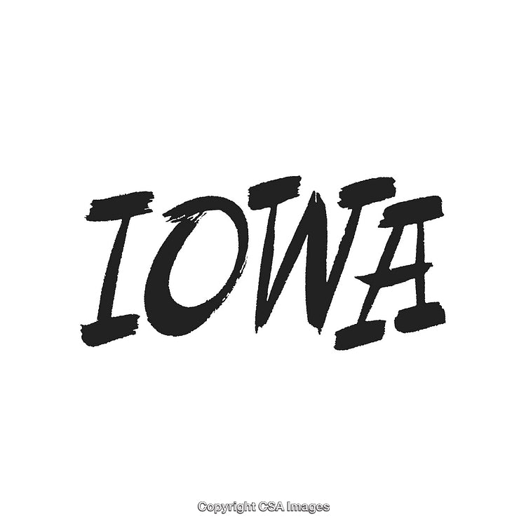 Artistic Brush Style Black Text Displaying 'Iowa' on White Background