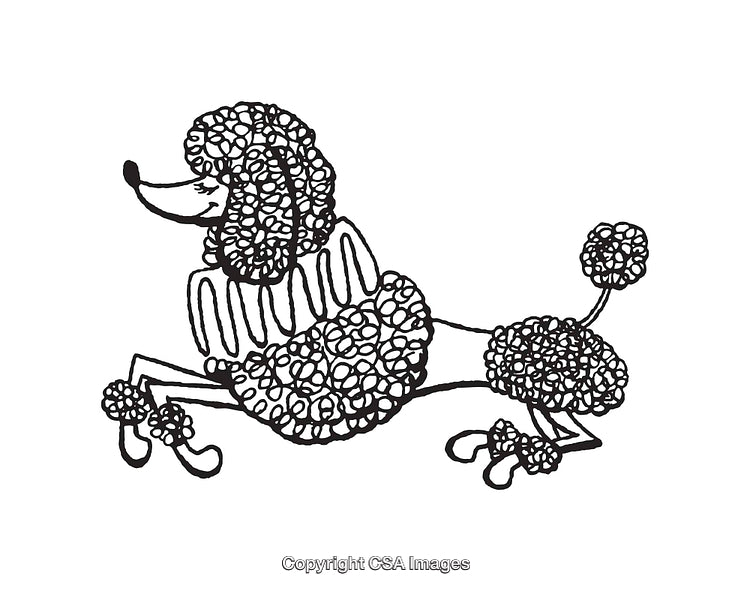 Elegant Poodle Line Art Illustration in Black and White Design