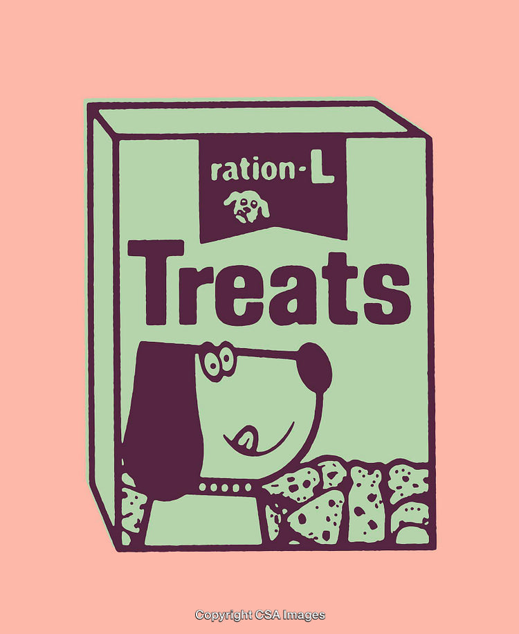 Cartoon Styled Box of Dog Treats Illustrated in Playful Colors
