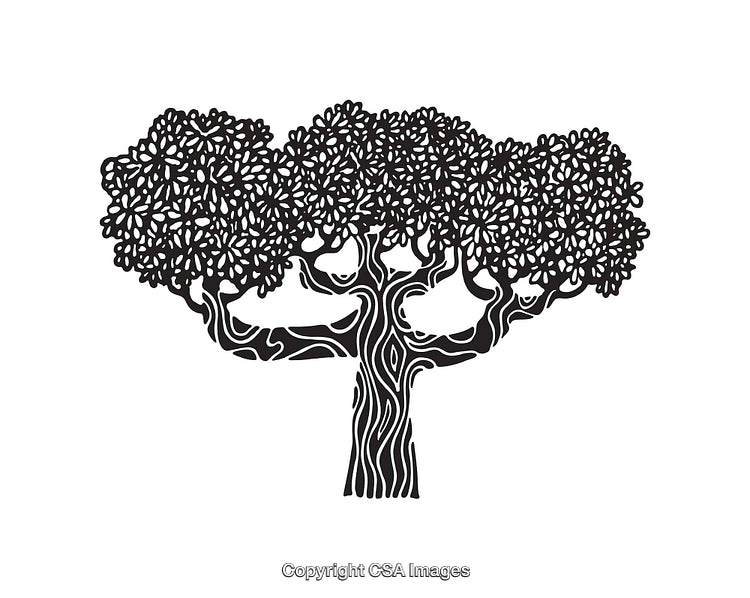 Intricate Black and White Tree Line Art Illustration