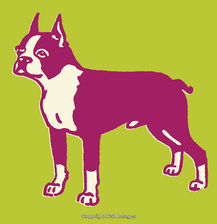 Colorful Pop Art Illustration of a Dog on a Bright Background