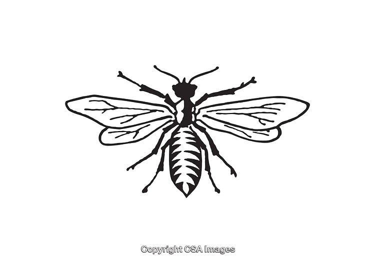 Black and White Illustration of a Bee in Line Art Style