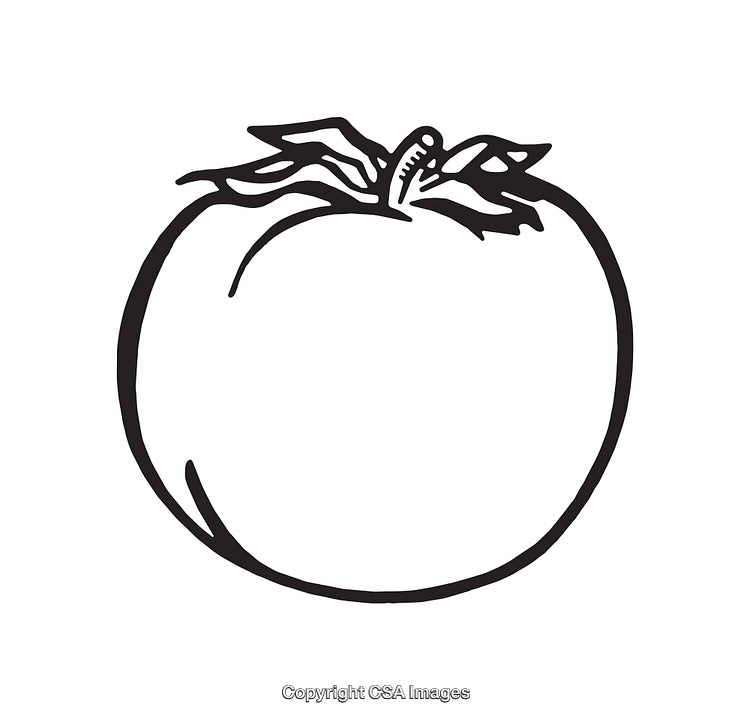 Simple Black and White Line Art Tomato Illustration on White Background