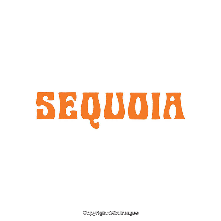 Bold Orange Stylized Sequoia Text on White Background