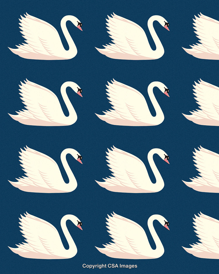 Pattern of Swans