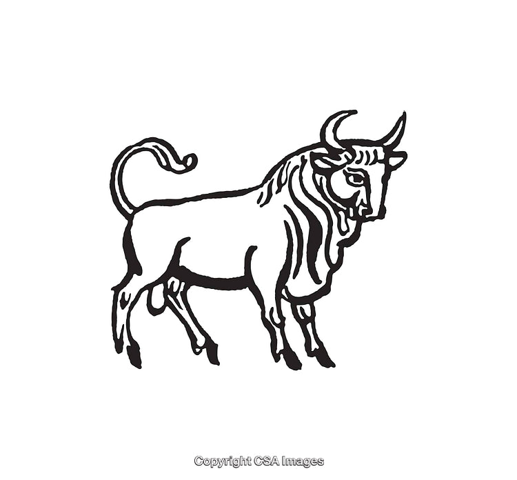 Detailed Black and White Line Art Illustration of a Bull