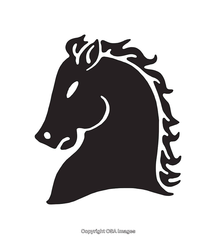 Stylized Black Horse Head in Black and White Line Art Style