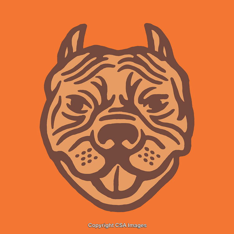 Stylized Line Art Illustration of a Dog Face on Orange Background