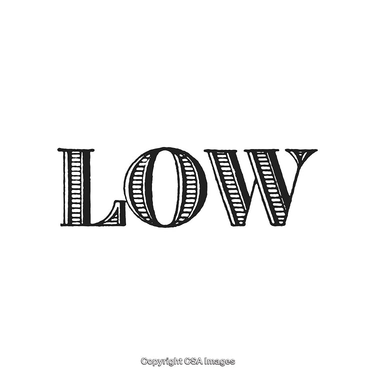 Vintage Retro Typography Featuring the Word Low in Bold Stylized Design