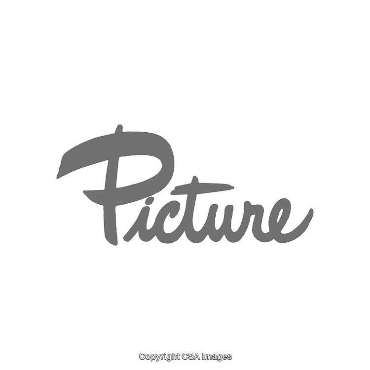 Monochromatic Gray Wordmark with Artistic Calligraphy on White Background