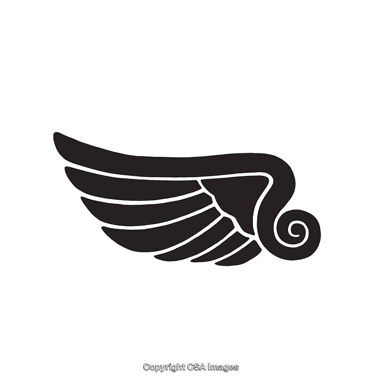 Abstract Line Art of a Wing with Elegant Curved Features