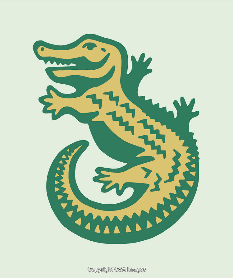 Colorful Alligator Line Art Illustration with a Playful Style
