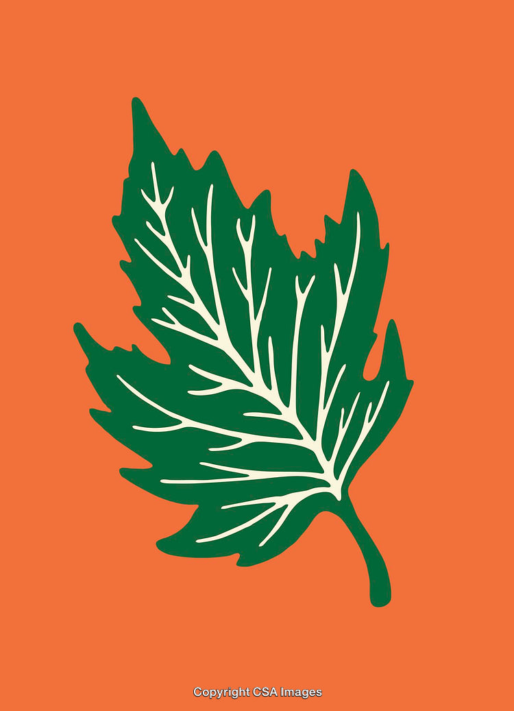 Green Leaf Illustration on Orange Background in Minimalist Art Style