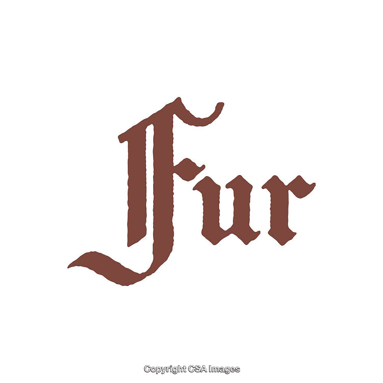 Vintage Monochromatic Logotype Design with Ornate Text Element