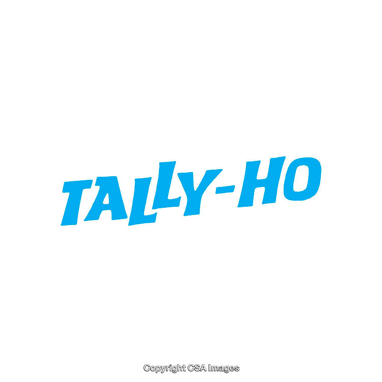 Bold Text 'Tally-Ho' in Bright Blue on White Background
