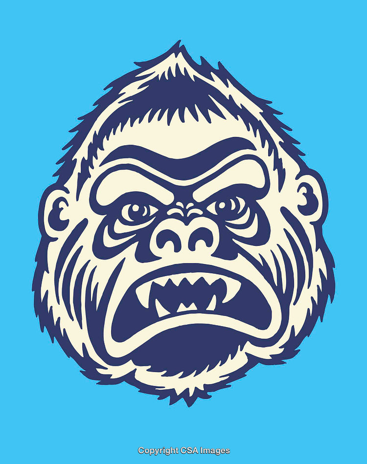 Bold Line Art Illustration of an Aggressive Gorilla Face on Blue Background