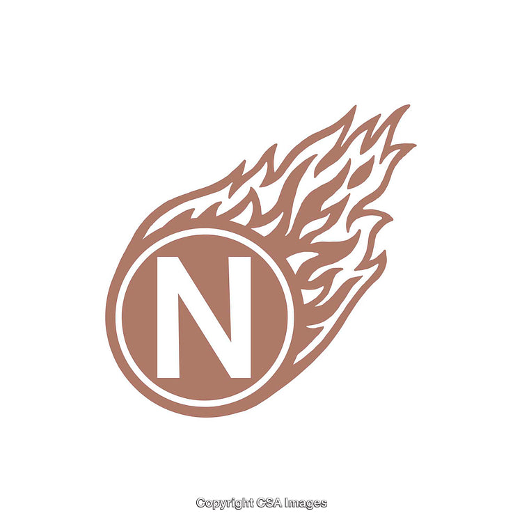 Bronze Letter N Encircled by Flames on a White Background