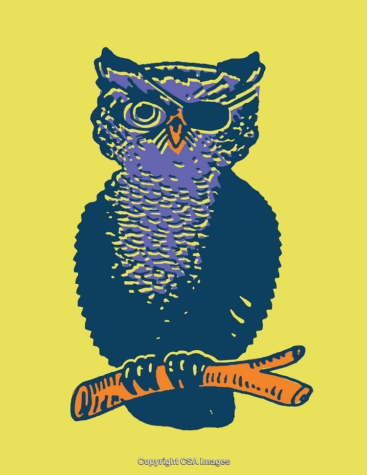 Colorful Line Art Owl Illustration Featuring A Pirate-Themed Design