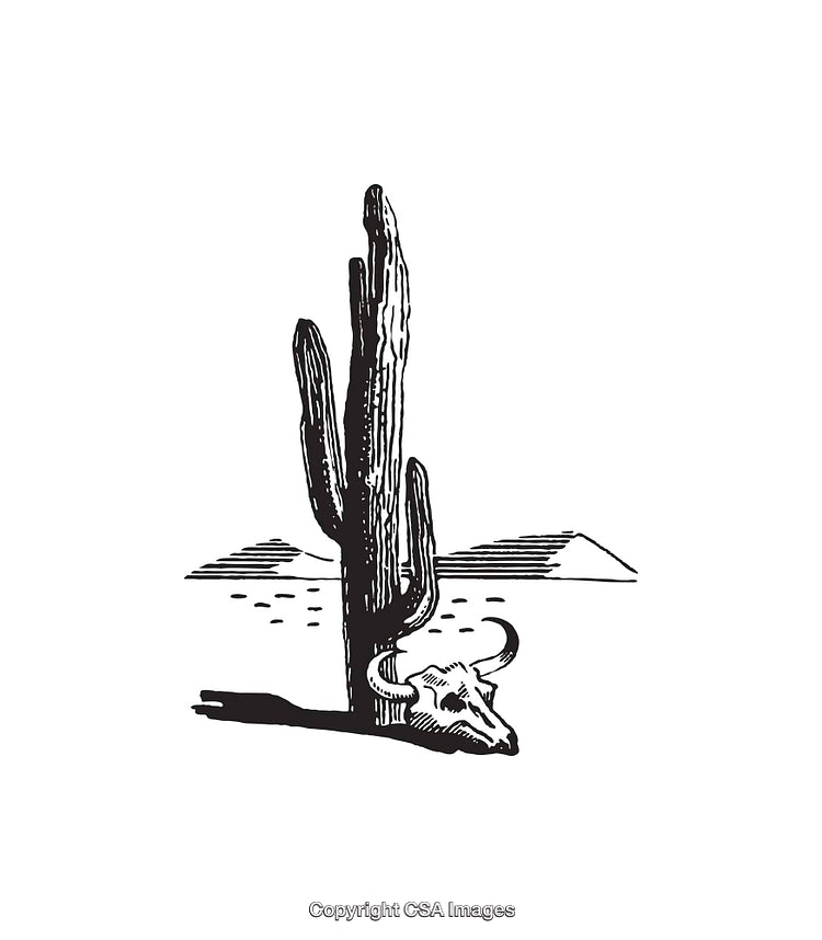 Black and White Line Art of a Cactus and Desert Skull Scene