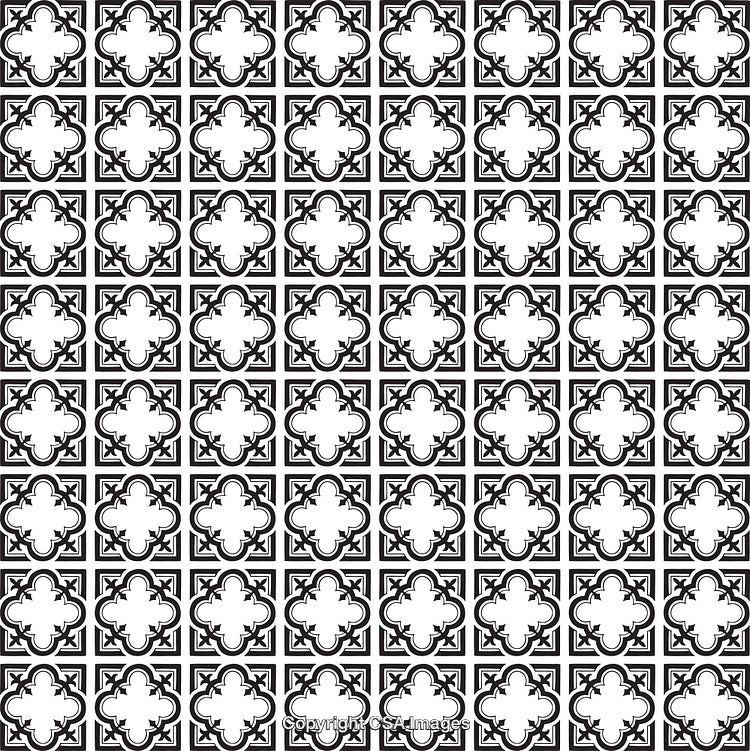 Seamless Black and White Floral Pattern with Geometric Ornamentation