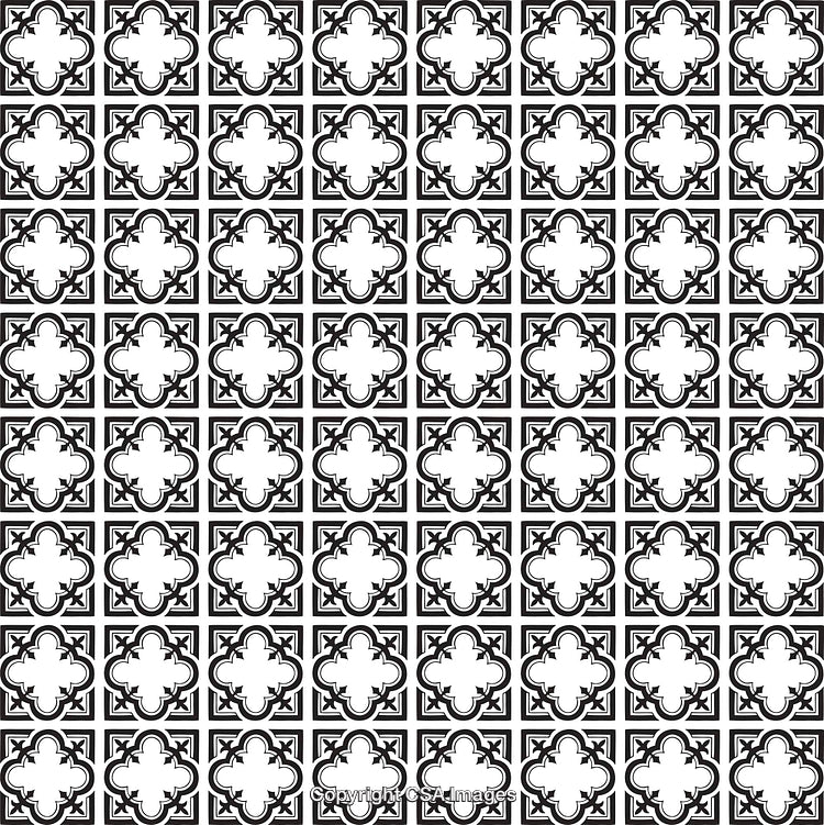 Seamless Black and White Floral Pattern with Geometric Ornamentation