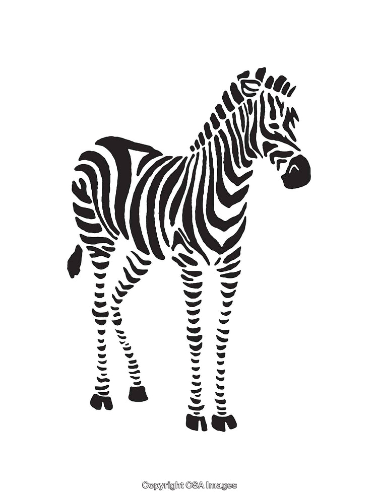 Black And White Illustration of a Zebra in Profile View