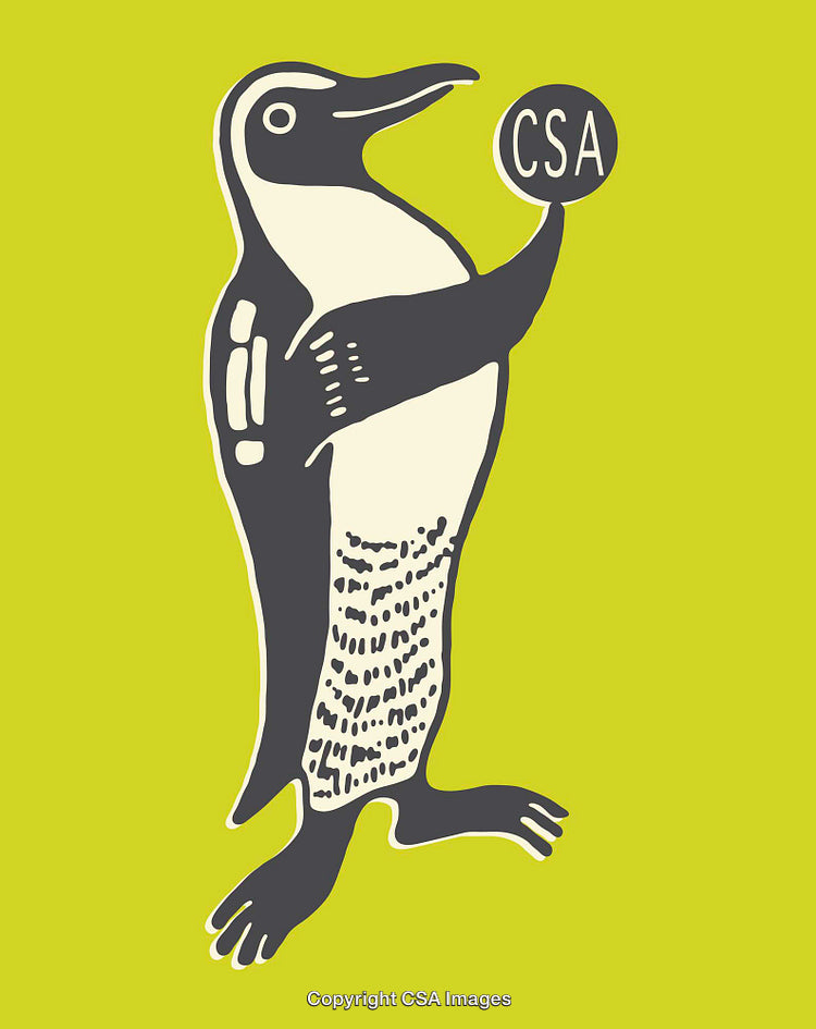 Illustrated Penguin Holding a Ball with CSA Letters on Bright Yellow