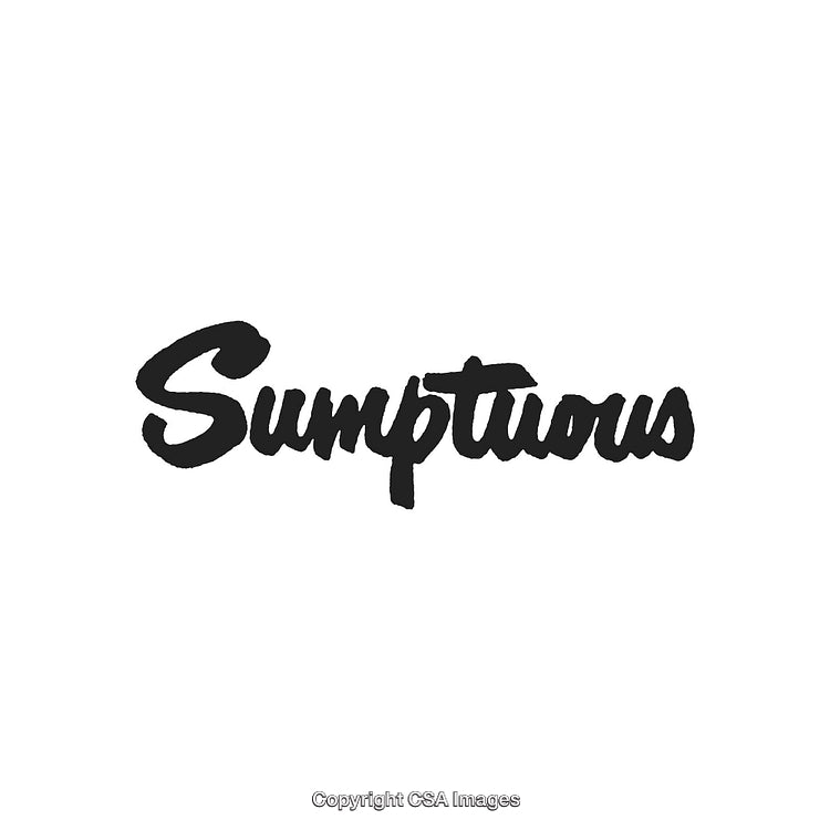 Elegant Handwritten Black Script Text Reading Sumptuous on a White Background