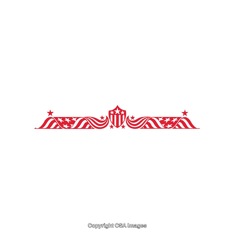 Decorative American Stars and Stripes Emblem with Shield and Wave Design