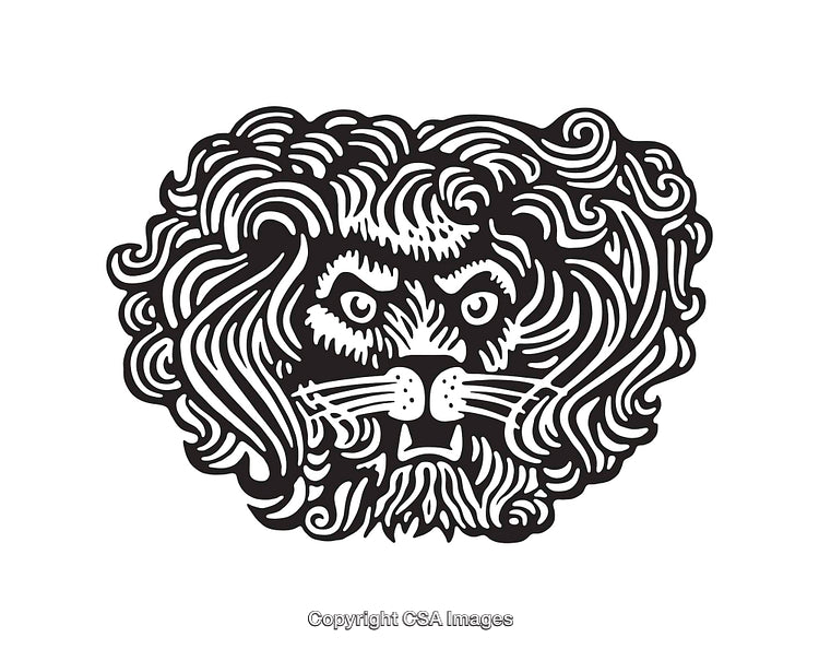 Detailed Black and White Line Art Illustration of a Lion's Face