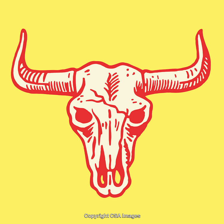 Colorful Illustration of a Bull Skull in Line Art Style