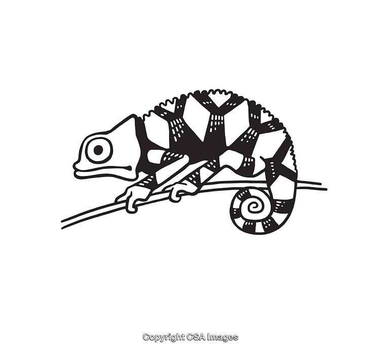 Black and White Line Art of a Chameleon on a Branch