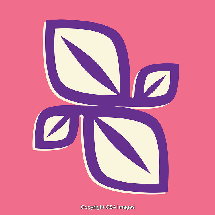 Abstract Purple Line Art Flower Design on Pink Backdrop