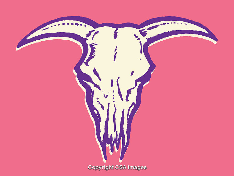 Colorful Goat Skull Drawing with Bold Lined Art on a Pink Background